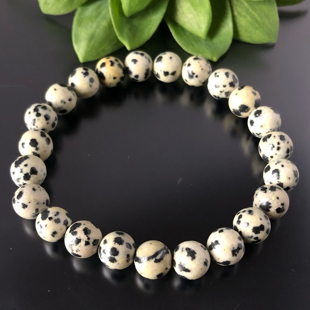 Dalmatian Jasper 8mm Natural Stone Beads Stretchable Bracelet
